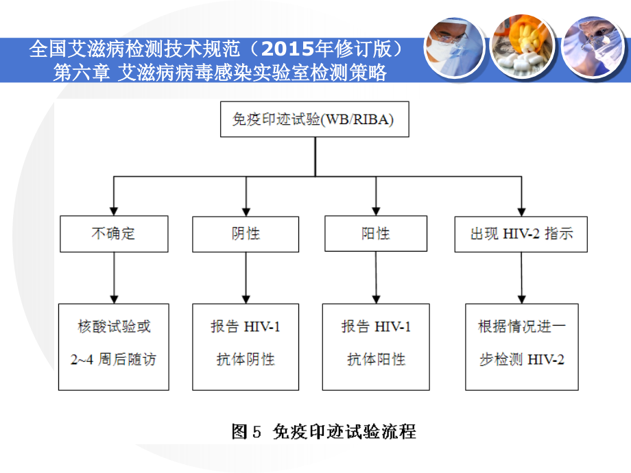 艾滋病抗体检测技术(免疫印迹法)与质量控制(黎俊宏)_第4页