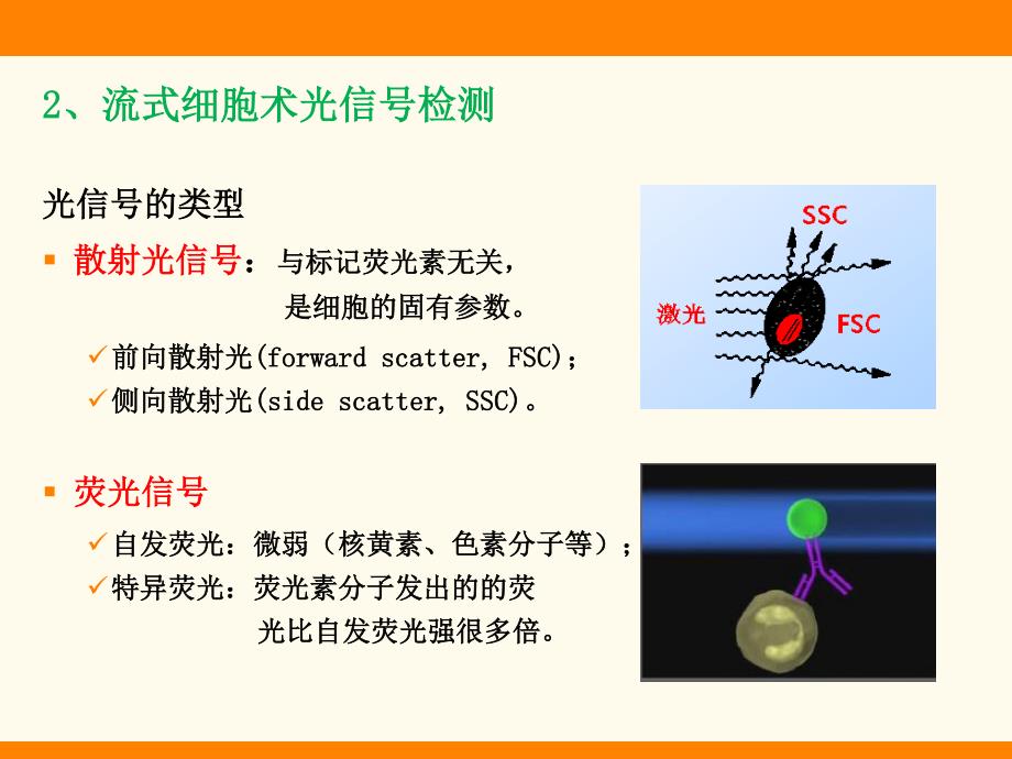 流式细胞仪(flowcytometer)基本原理_第3页