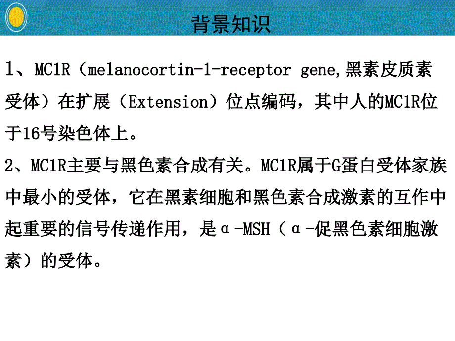 绵羊黑色显性毛色分子学与药理学特性_第3页