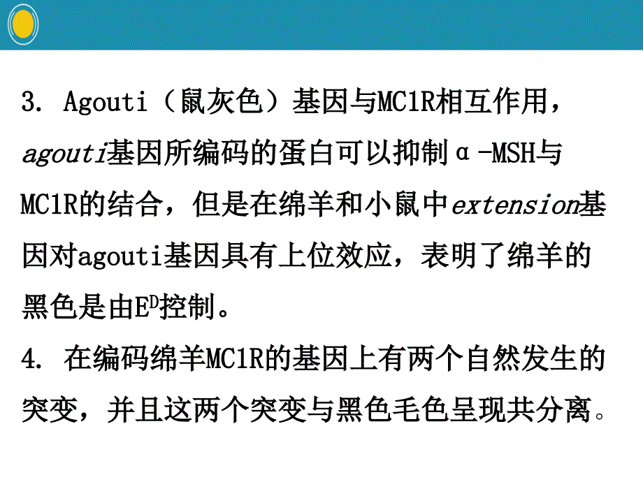 绵羊黑色显性毛色分子学与药理学特性_第4页