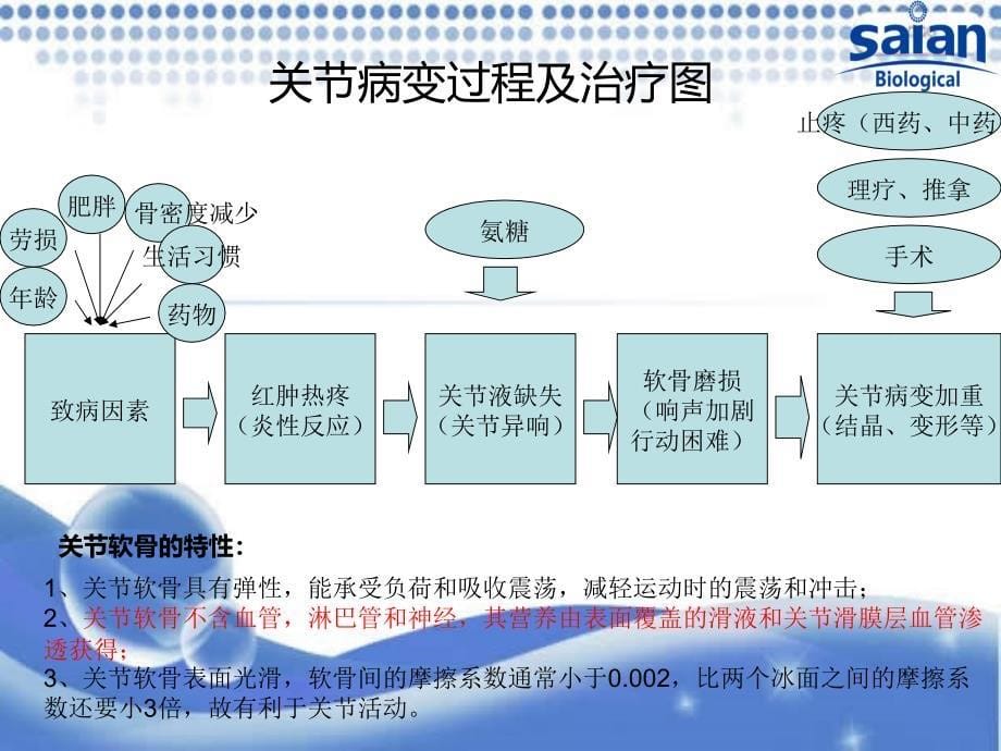 微电导入氨糖疗法项目说明书_第5页