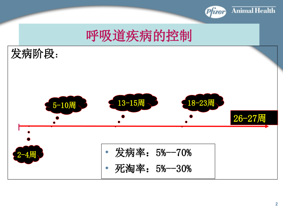 美国辉瑞公规模化猪场呼吸道主要疾病控制与净化方案_第2页