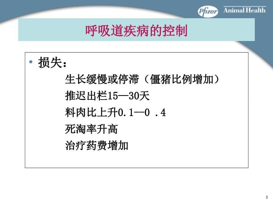 美国辉瑞公规模化猪场呼吸道主要疾病控制与净化方案_第5页