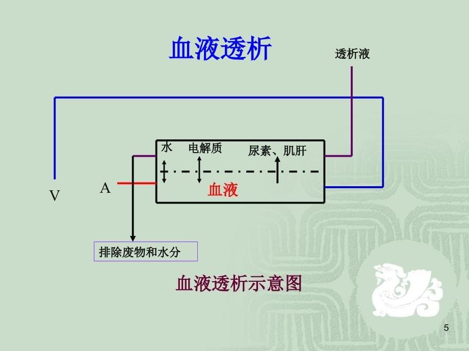 血液净化在急诊医学中应用_第5页