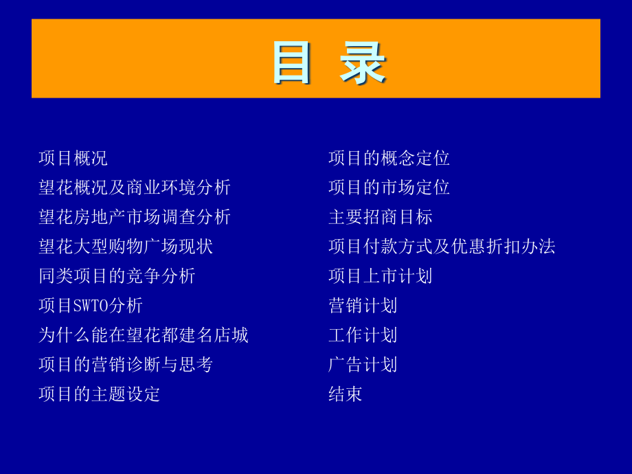 望花都商业街经典营销策划案销售营销经管营销专业资料_第2页