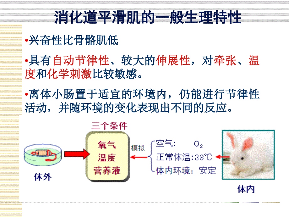 消化道平滑肌生理特性与药物影响_第3页