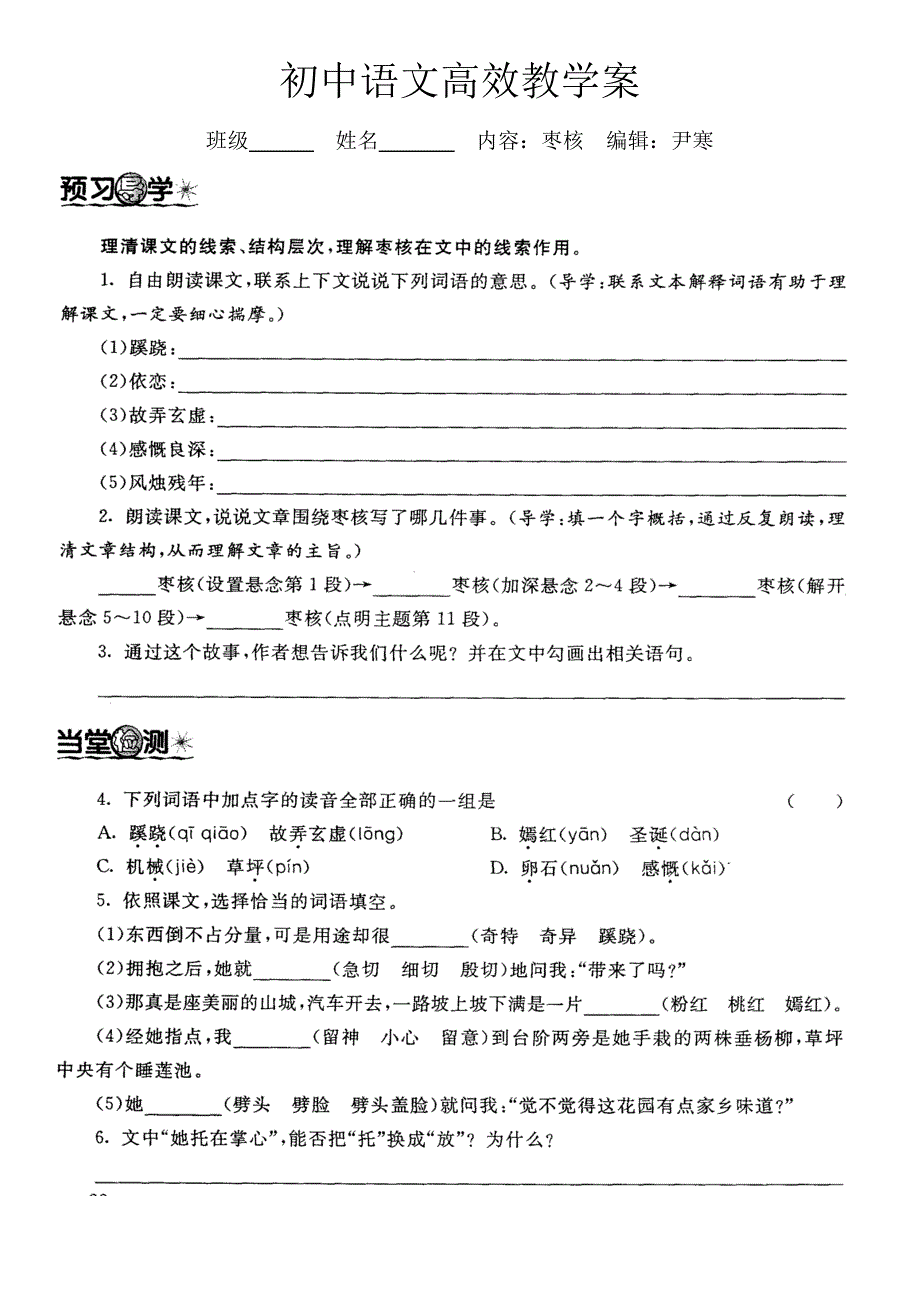 初中语文高效教学案（枣核）_第1页