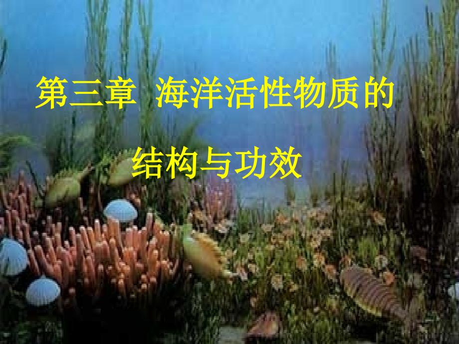 海洋生物活性物质活性多糖_第1页