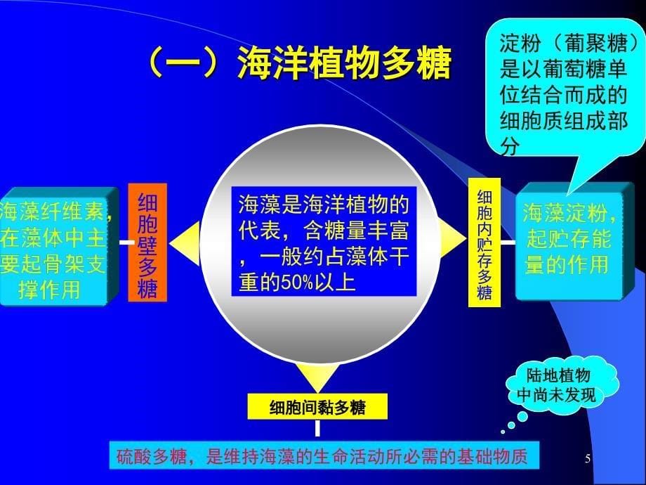 海洋生物活性物质活性多糖_第5页