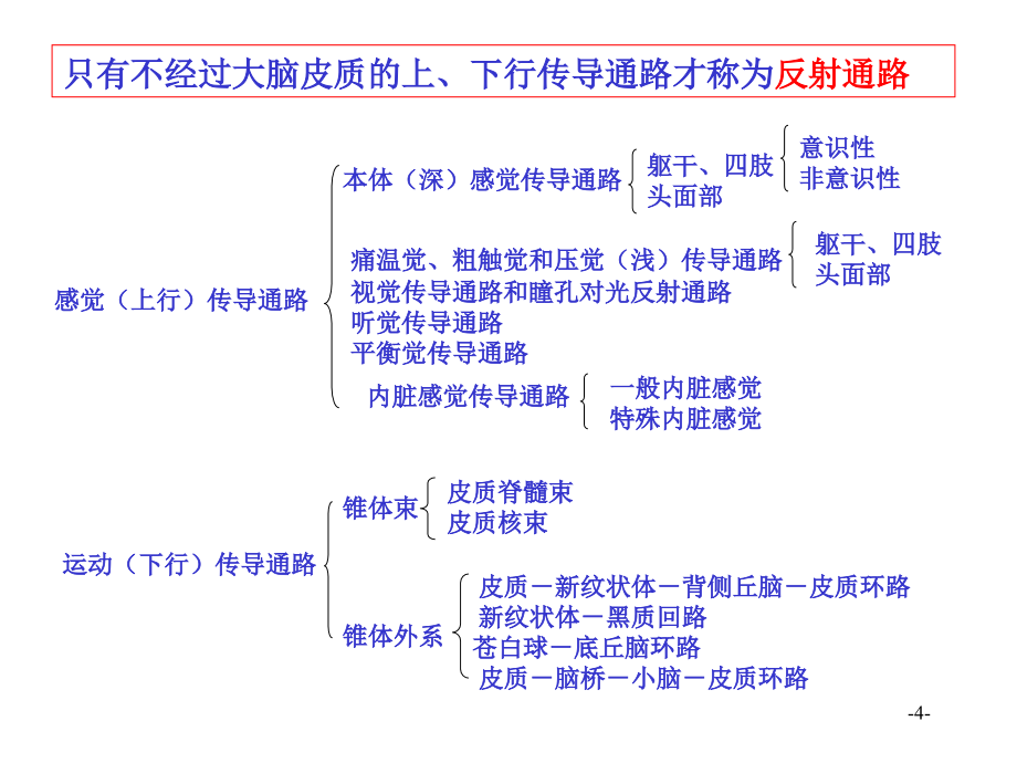 神经传导与常见疾病定位诊断_第4页