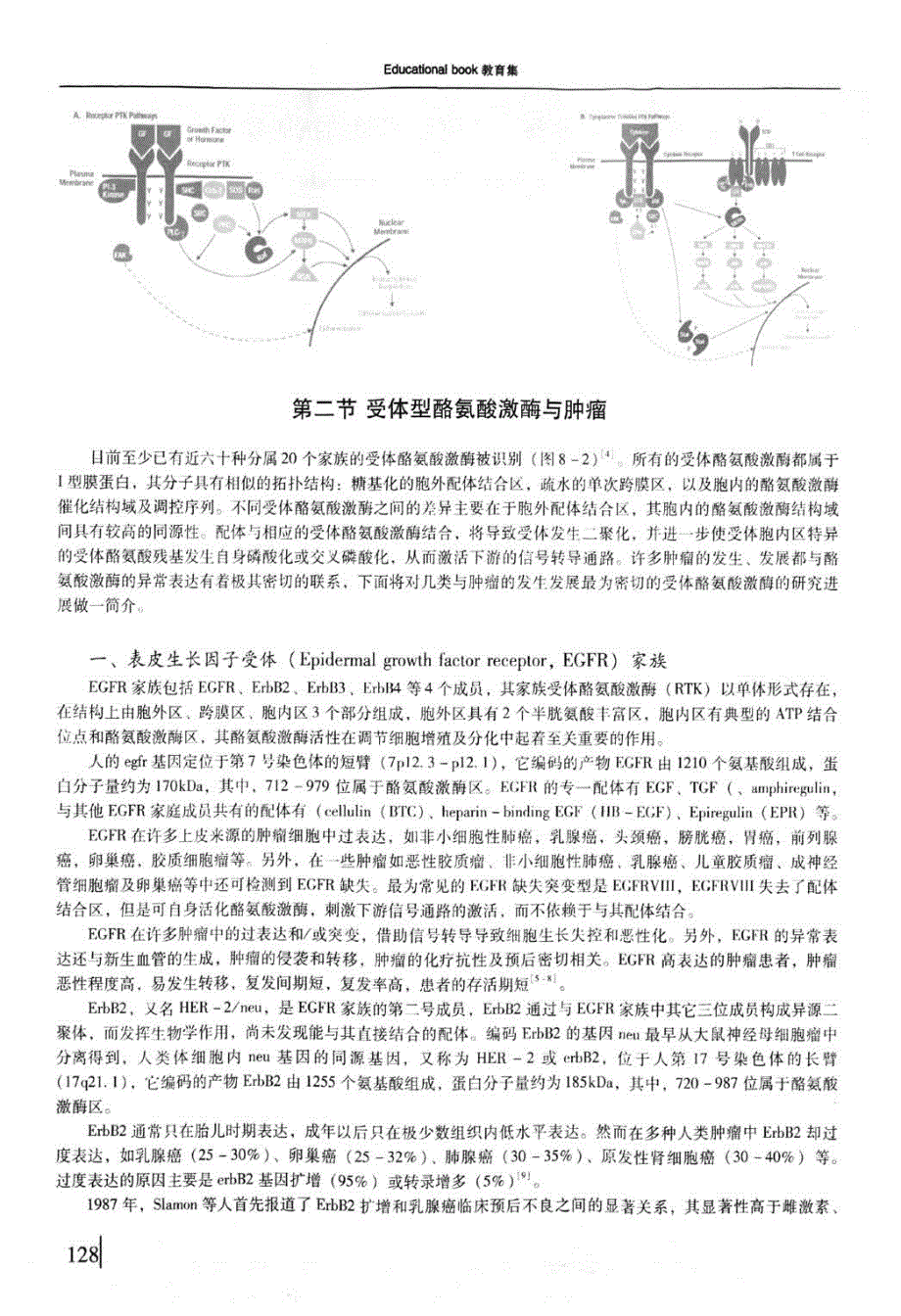 蛋白酪氨酸激酶前景光明抗肿瘤靶点_第2页