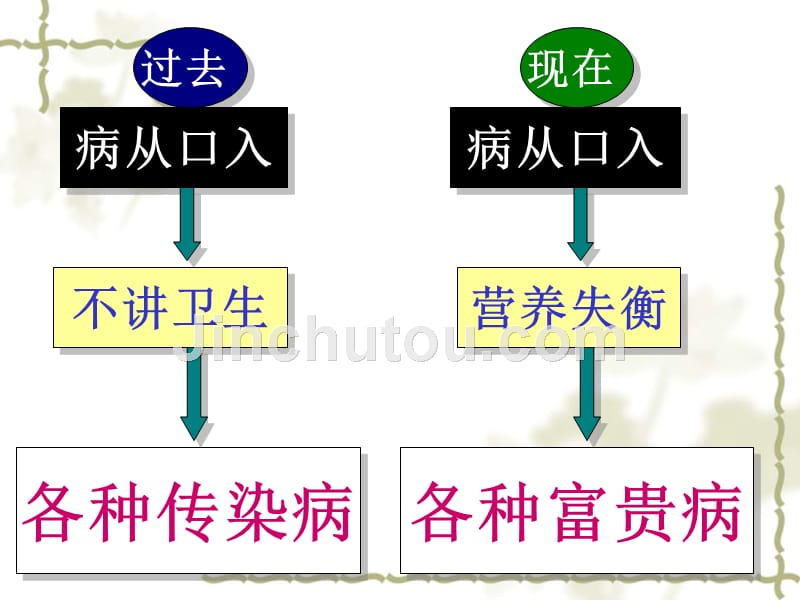 消化系统疾病病理与营养干预_第3页