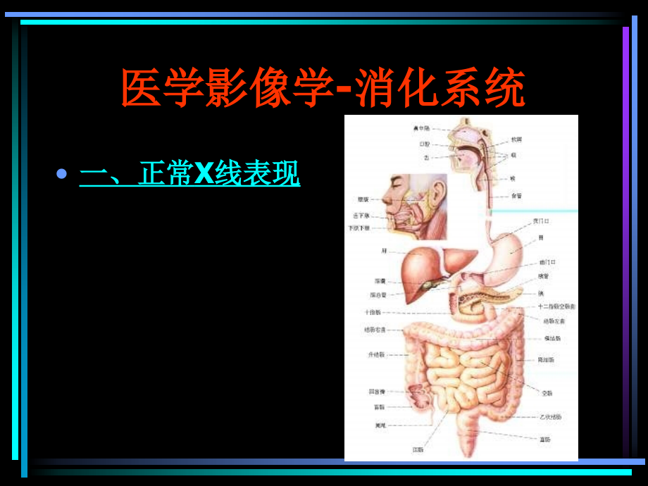 消化系统x线诊断医学影像学精品课_第1页