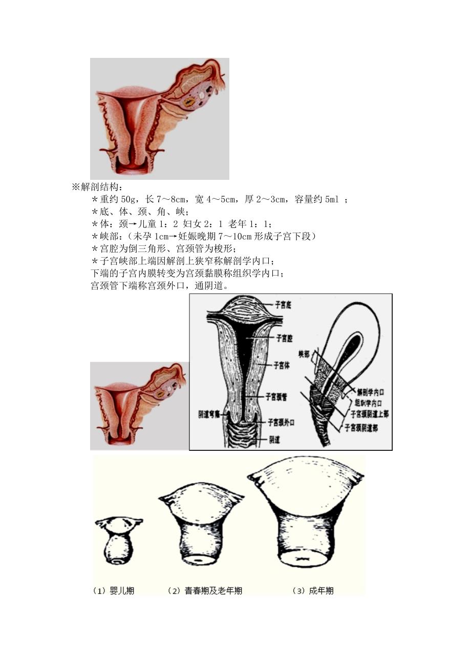 景晴妇科讲解microsoftword文档_第3页