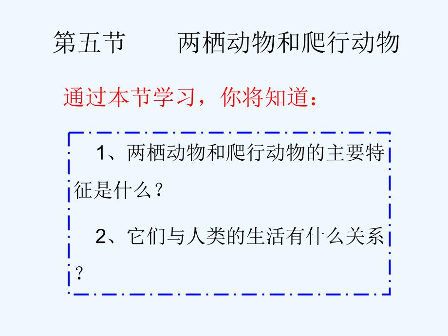 人教版八上第五节《两栖动物和爬行动物》_第3页