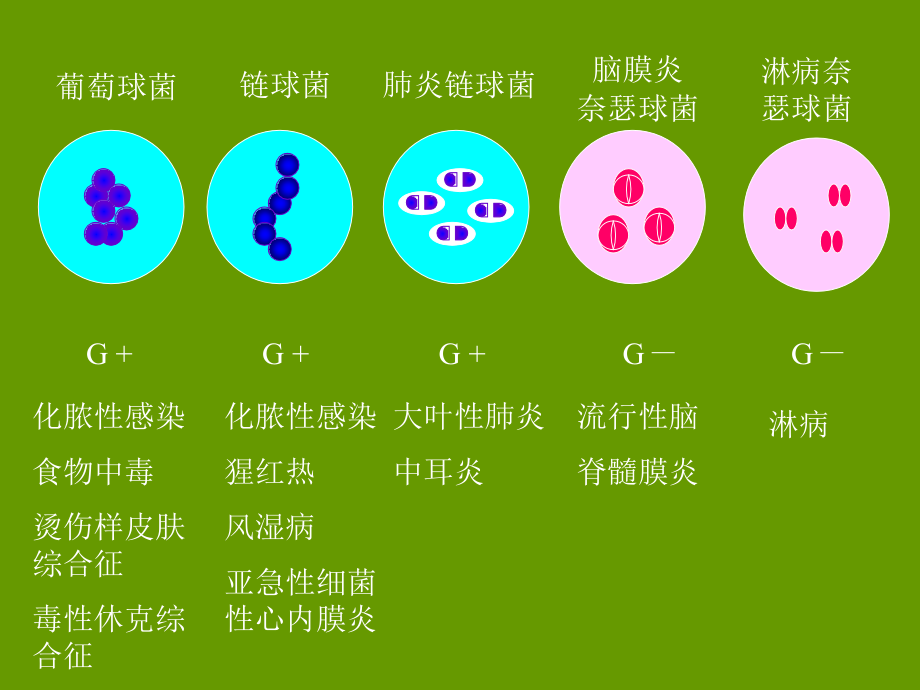 没有片标题上海中医药大学_第3页