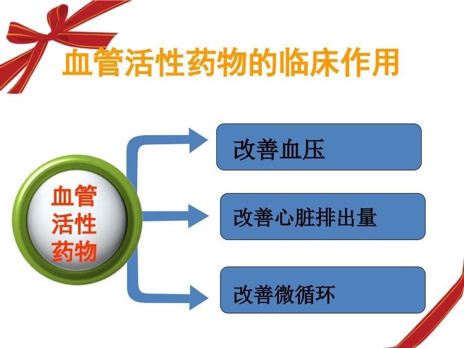 血管活性药物应用与护理_第5页