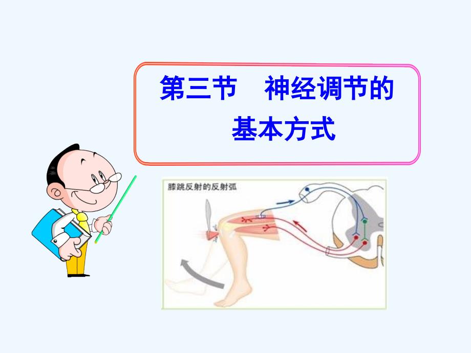 2014初中生物多媒体教学课件：第6章第3节神经调节的基本方式（人教版七年级下册）_第1页