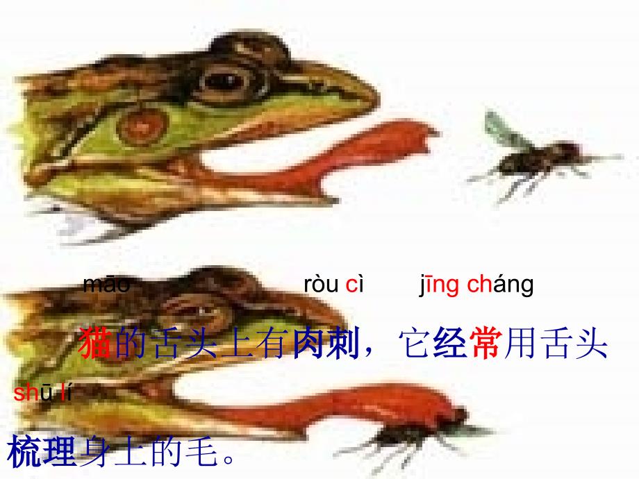 奇妙的舌头_第4页