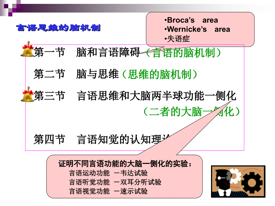 言语与思维脑机制生理学心理学_第1页