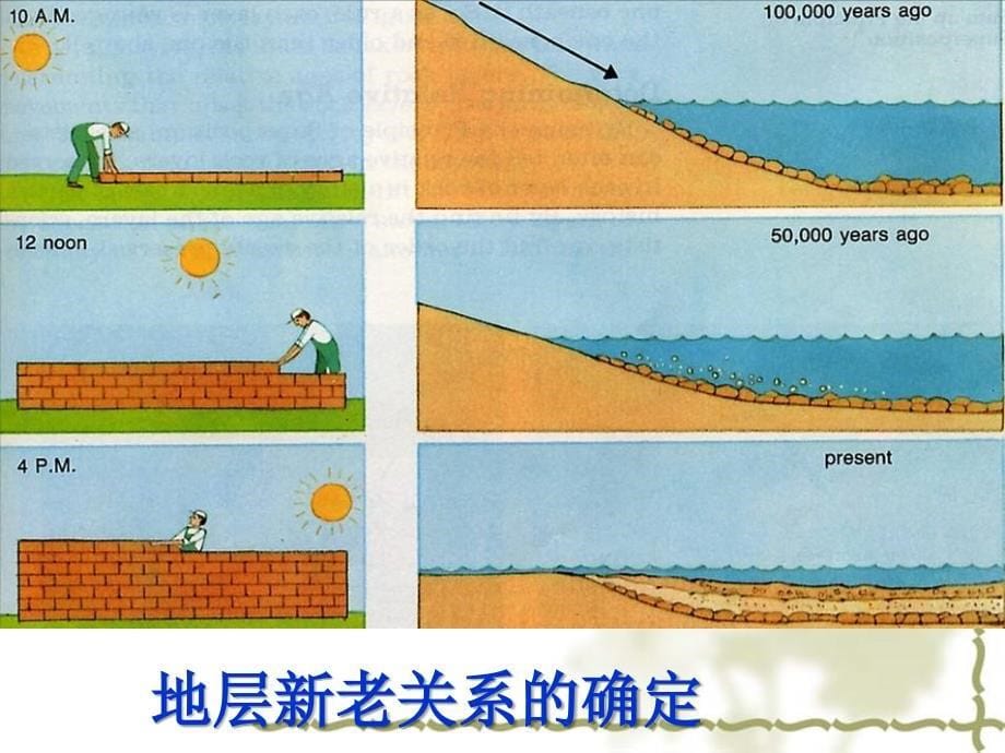 第二章 第二部分 地质年代与生物演化_第5页