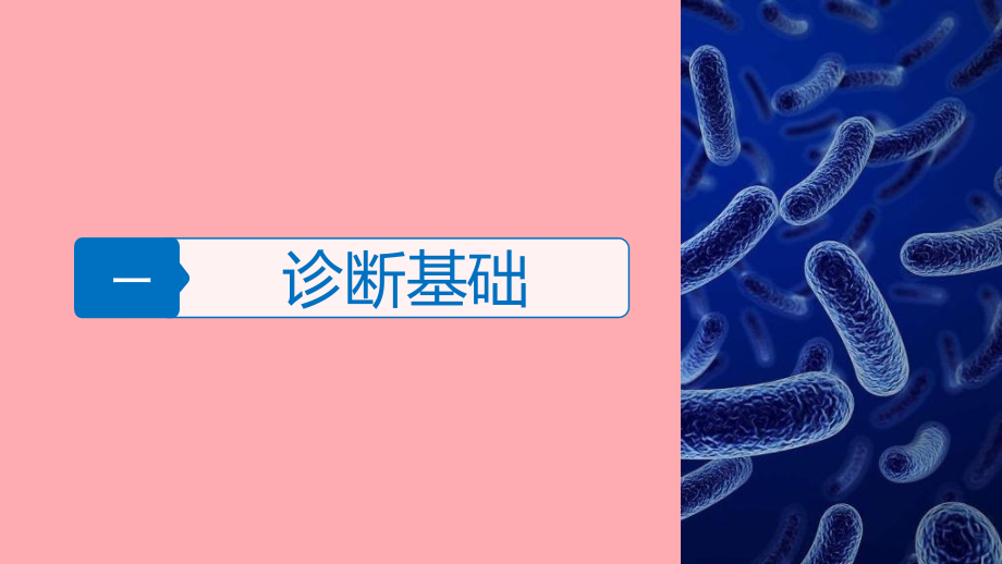 2018届高三地理二轮专题复习 专题一 细胞的分子组成和基本结构 考点2 细胞的基本结构课件 新人教版_第3页