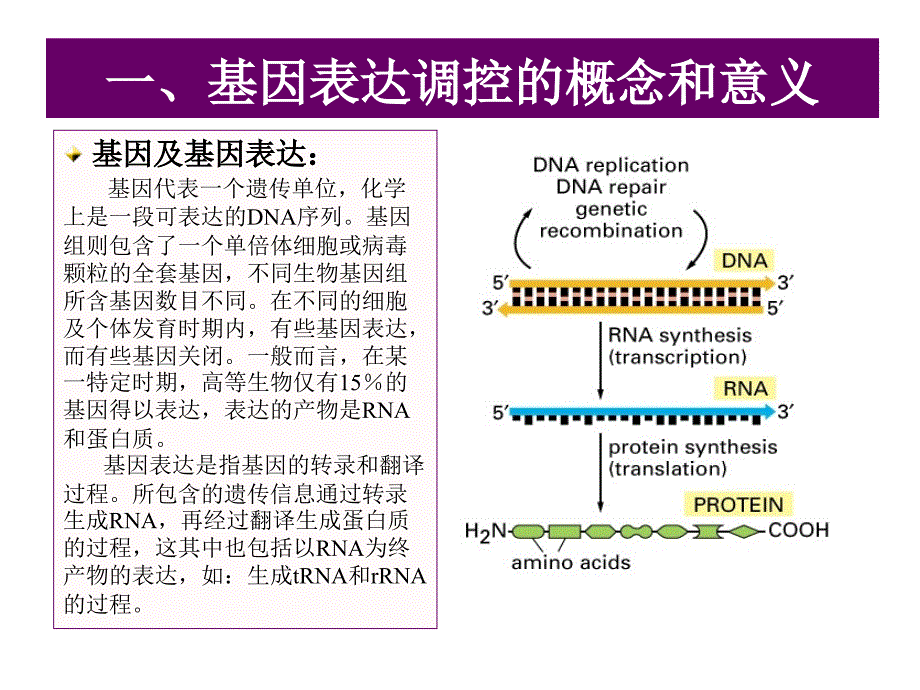 第十章  原核生物的基因表达与调控_第4页