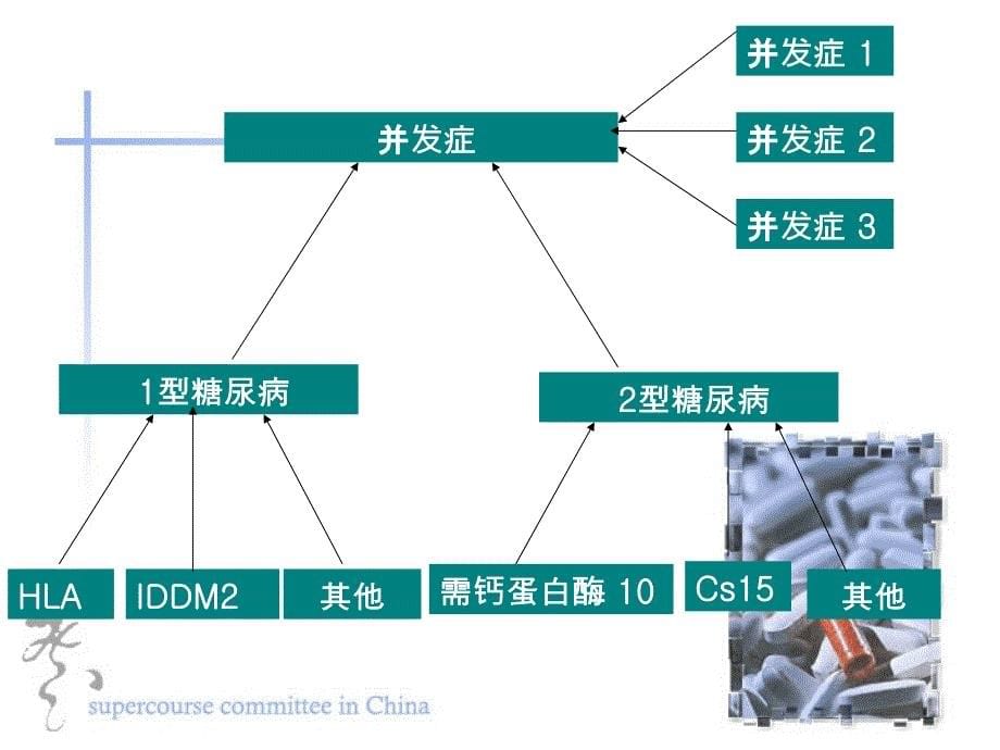 美籍墨西哥人中2型糖尿病的交互作用及发展_第5页