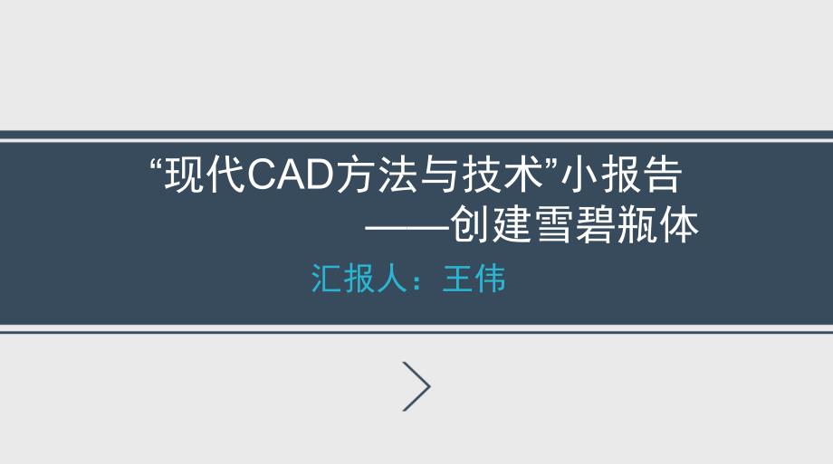 现代CAD方法与技术_第1页