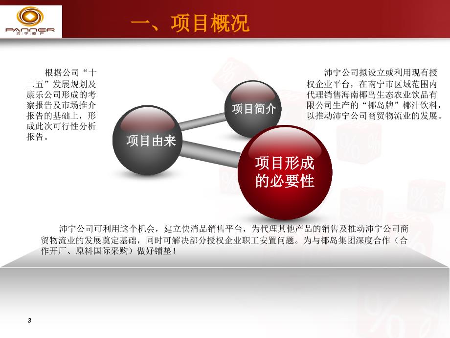 椰汁项目汇报材料(12.1版)_第3页