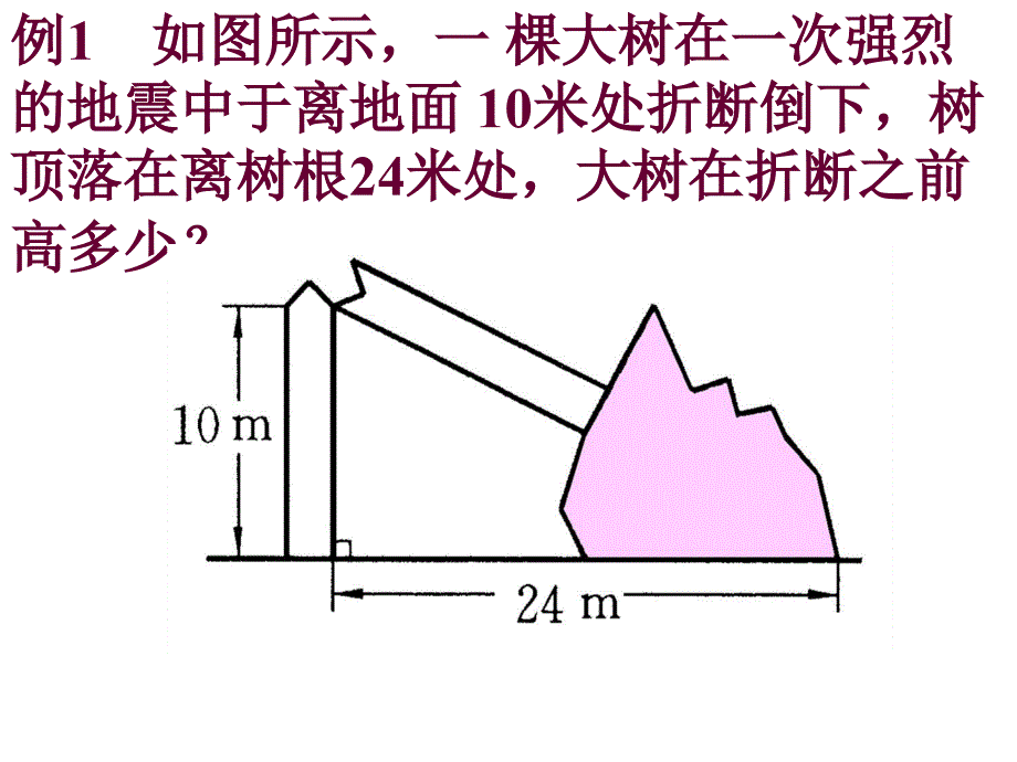 解直角三角形1[下学期]--华师大版_第2页