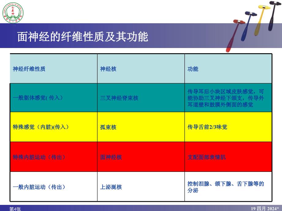 神经解剖讲课模版 (2)_第4页