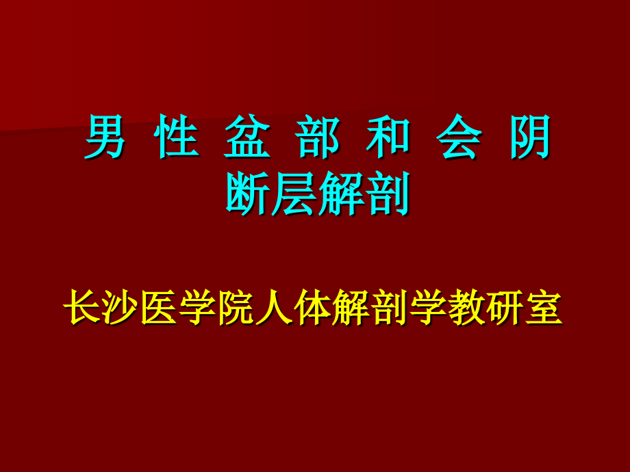 男性盆部会阴部断层解剖_第2页