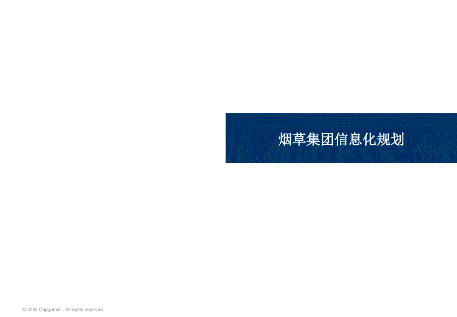 烟草集团信息化IT规划咨询报告_第1页