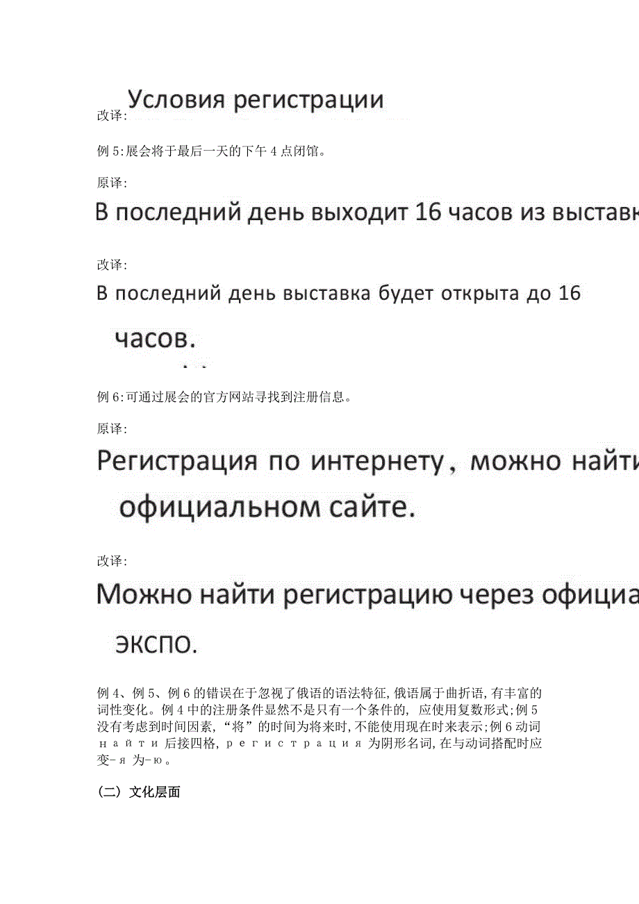 亚欧博览会俄语门户网站外宣文本的误译评析_第4页