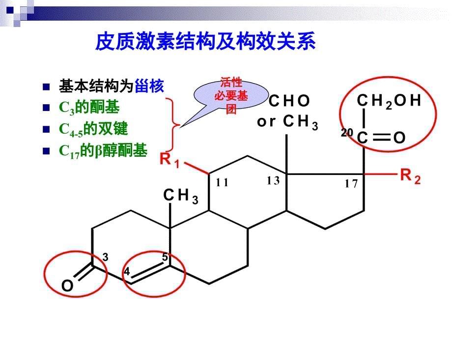 肾上腺皮质激素类药_第5页