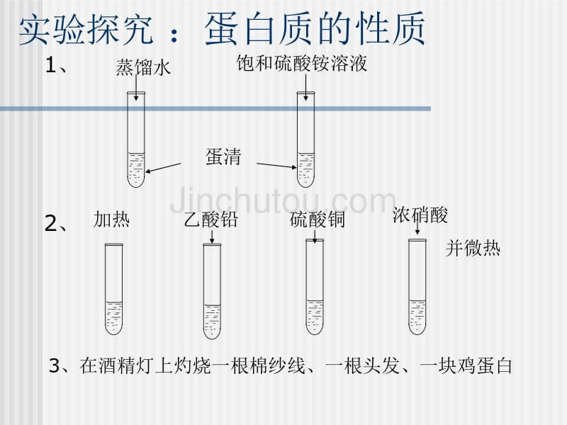 化学83《蛋白质和维生素》课件(沪教版九年级)_第3页