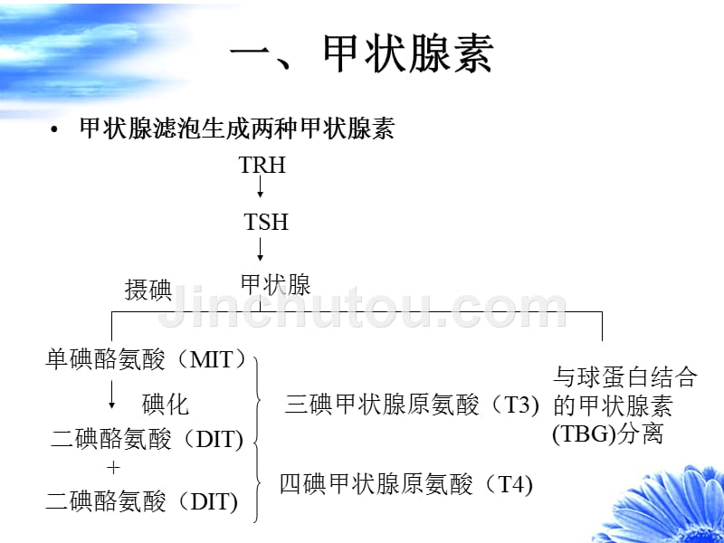 精选易懂妊娠合并甲状腺疾病_第2页