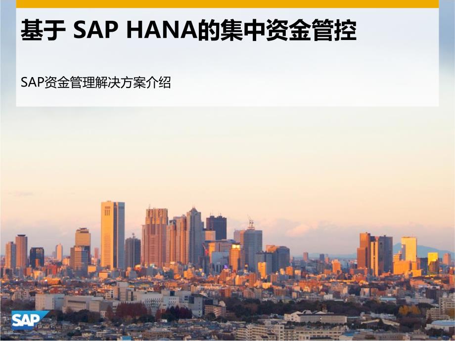 资金管理-基于sap hana的集中资金管控_第1页