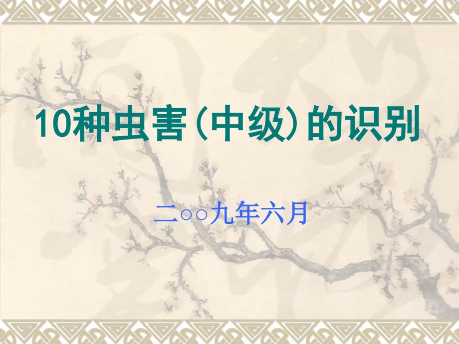 10种虫害(中级)的识别_第1页