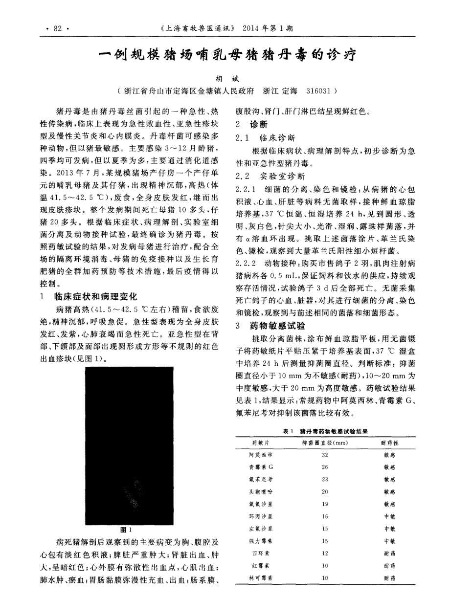 一例规模猪场哺乳母猪猪丹毒的诊疗 (论文)_第1页