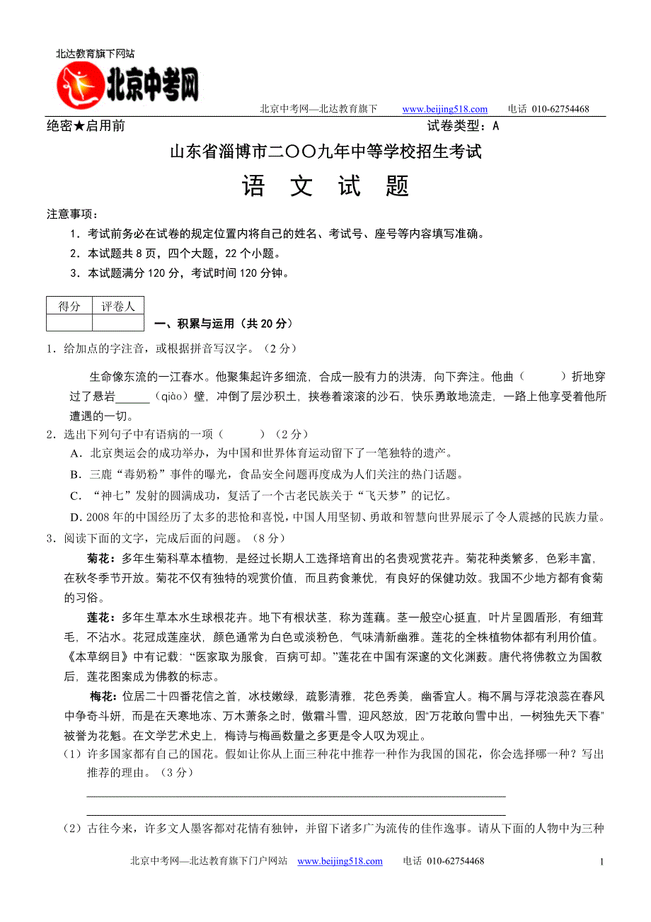 2009年山东省淄博市中考真题——语文_第1页