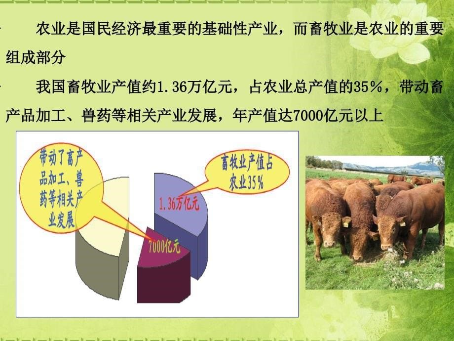 桑国俊  肉牛产业技术培训--国内外肉牛产业发展现状_第5页