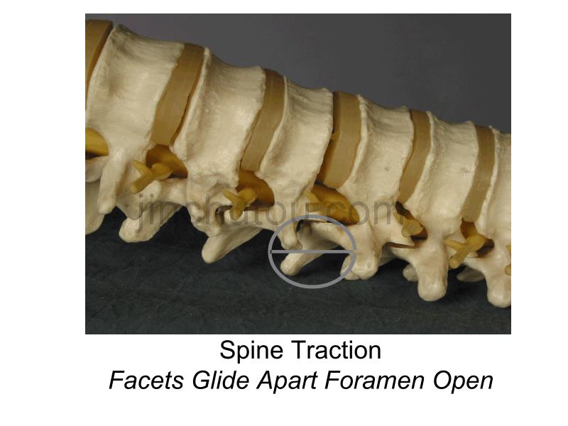 脊柱关节松动术_第5页