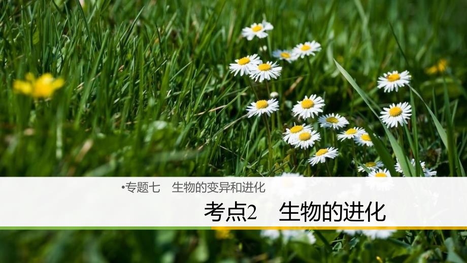 2018届高三地理二轮专题复习 专题七 生物的变异和进化 考点2 生物的进化课件 新人教版_第1页