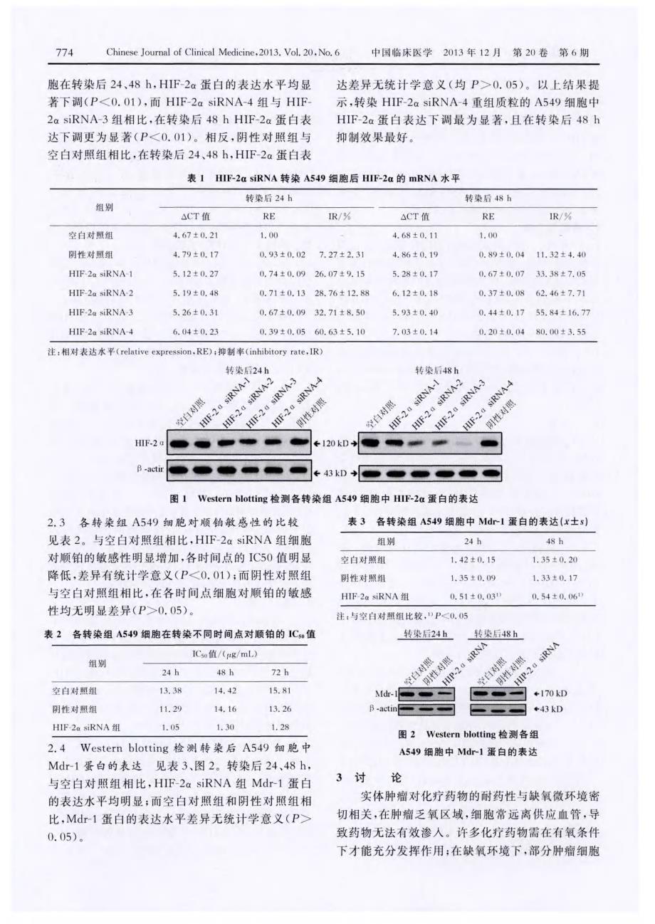 HIF-2α基因与人肺腺癌A549细胞株对顺铂耐药性的关系_第3页