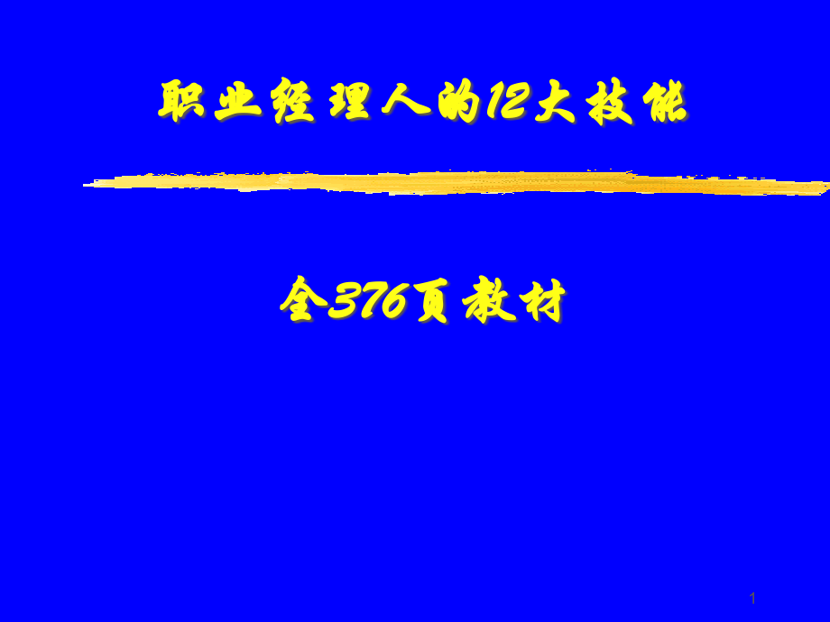 职业经理人技能全376页培训教材_第1页