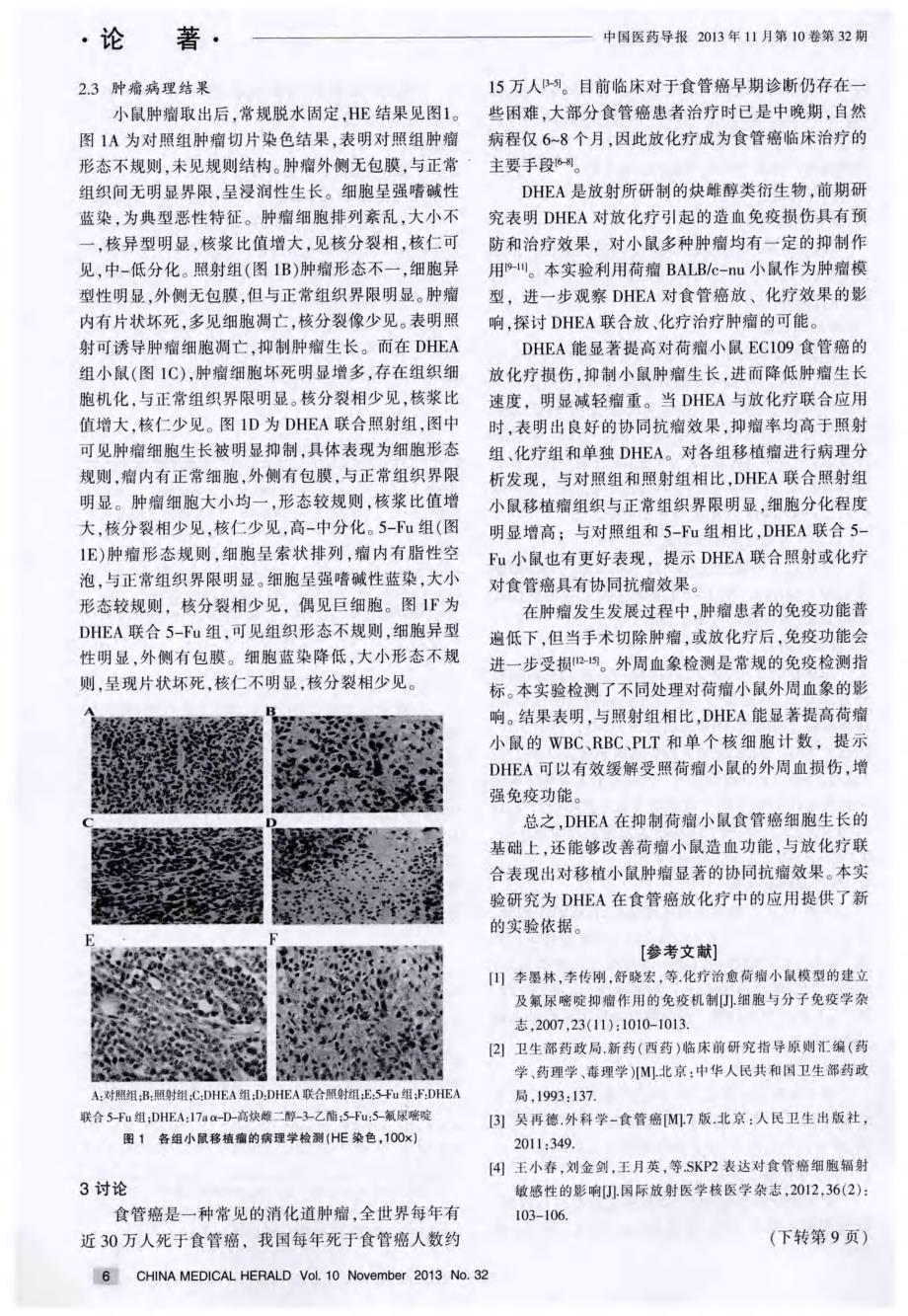 17a α-D-高炔雌二醇-3-乙酯联合放、化疗抗肿瘤作用的研究_第3页