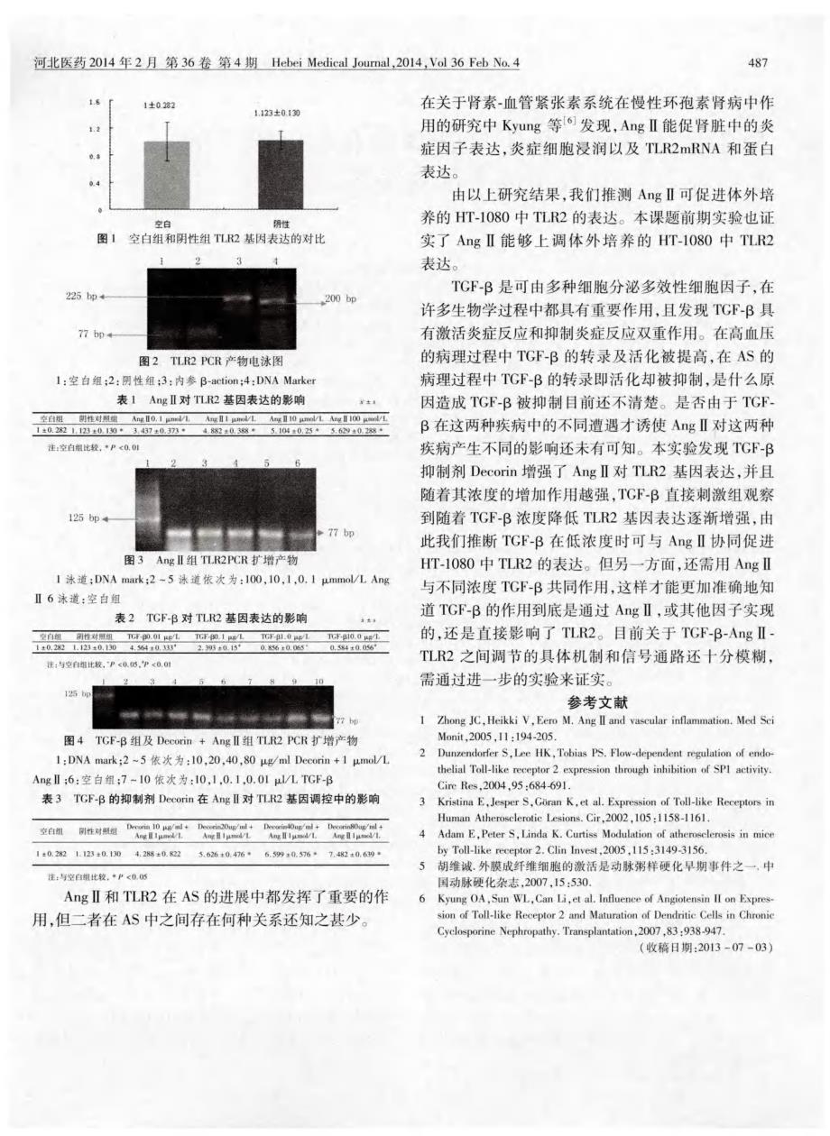 TGF-β对 AngⅡ调节人成纤维细胞 Toll 样受体2表达中的影响_第3页