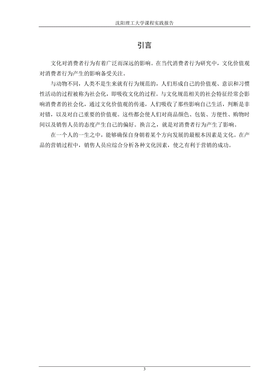 社会文化对消费者行为的影响_第3页